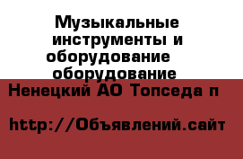 Музыкальные инструменты и оборудование DJ оборудование. Ненецкий АО,Топседа п.